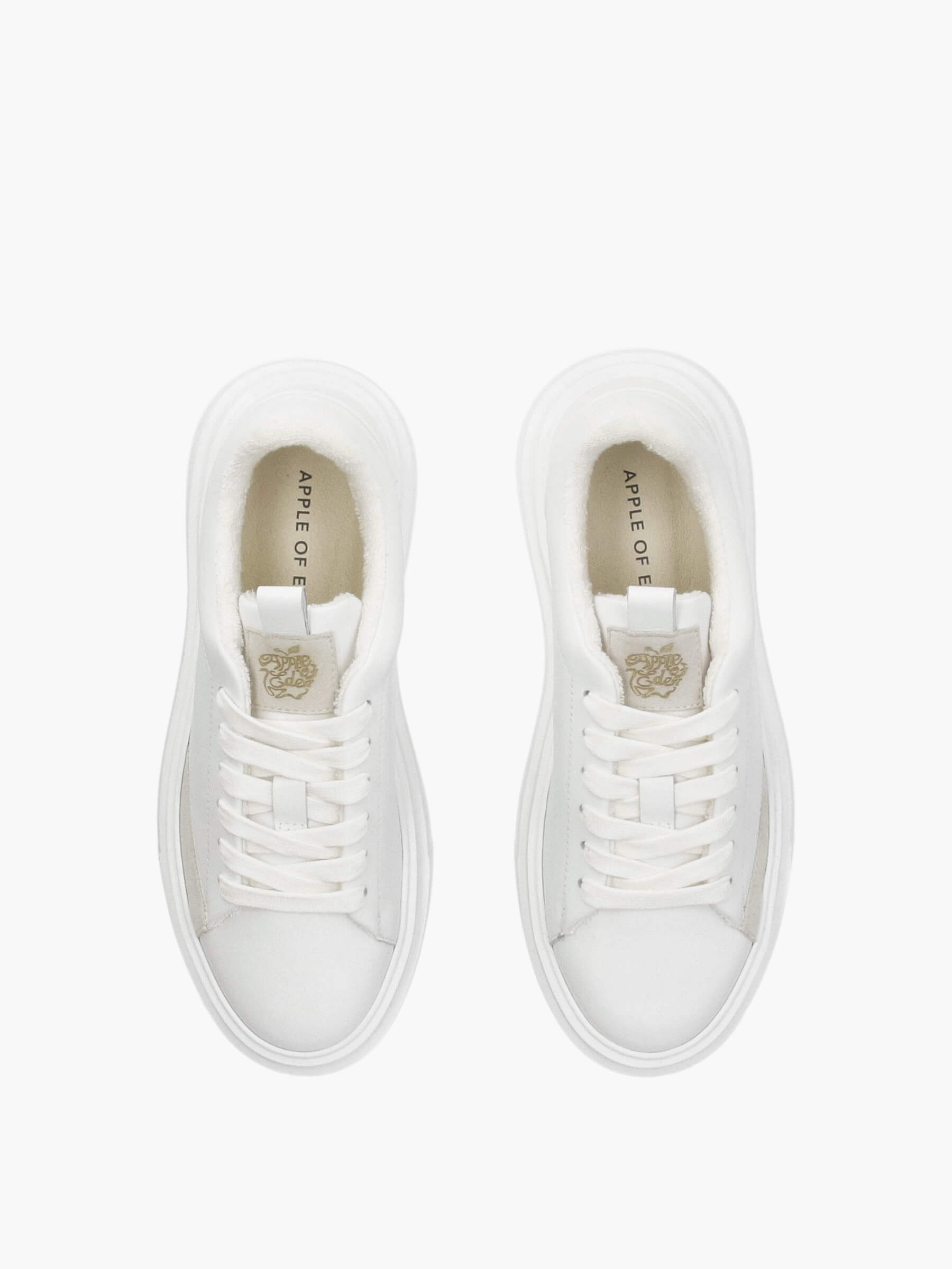 Bekleidung, Schuhwerk, Schuh, Sneaker, Leinwand, Bekleidung, Schuhwerk, Schuh, Sneaker, Leinwand, Bekleidung, Schuhwerk, Schuh, Sneaker, Leinwand, Bekleidung, Schuhwerk, Schuh, Sneaker, Leinwand