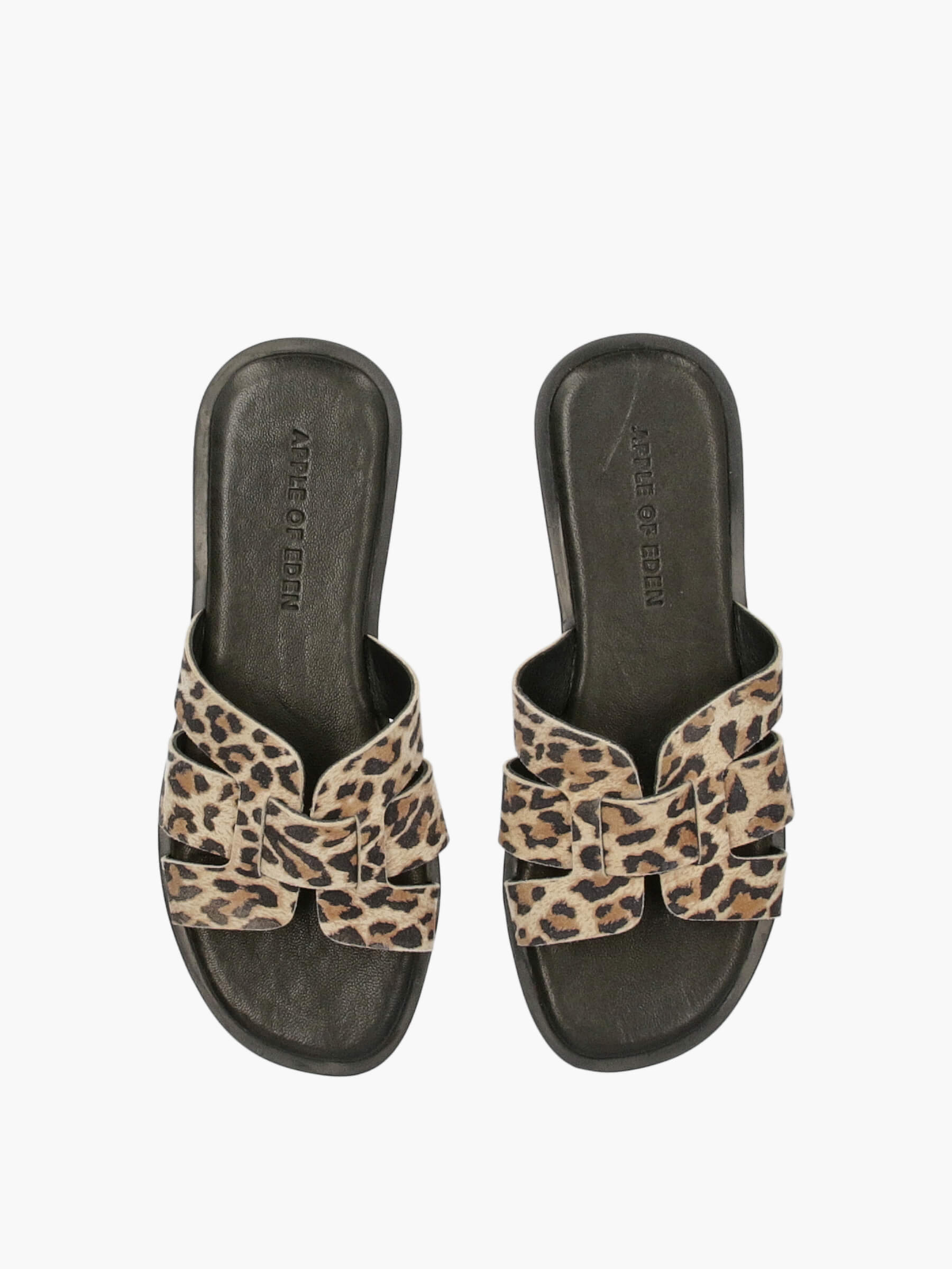 SS25-ALYCIA46_leo-000-000-Apple-of-Eden_5_BM ALYCIA-Leo, Bekleidung, Schuhwerk, Sandale, Schuh